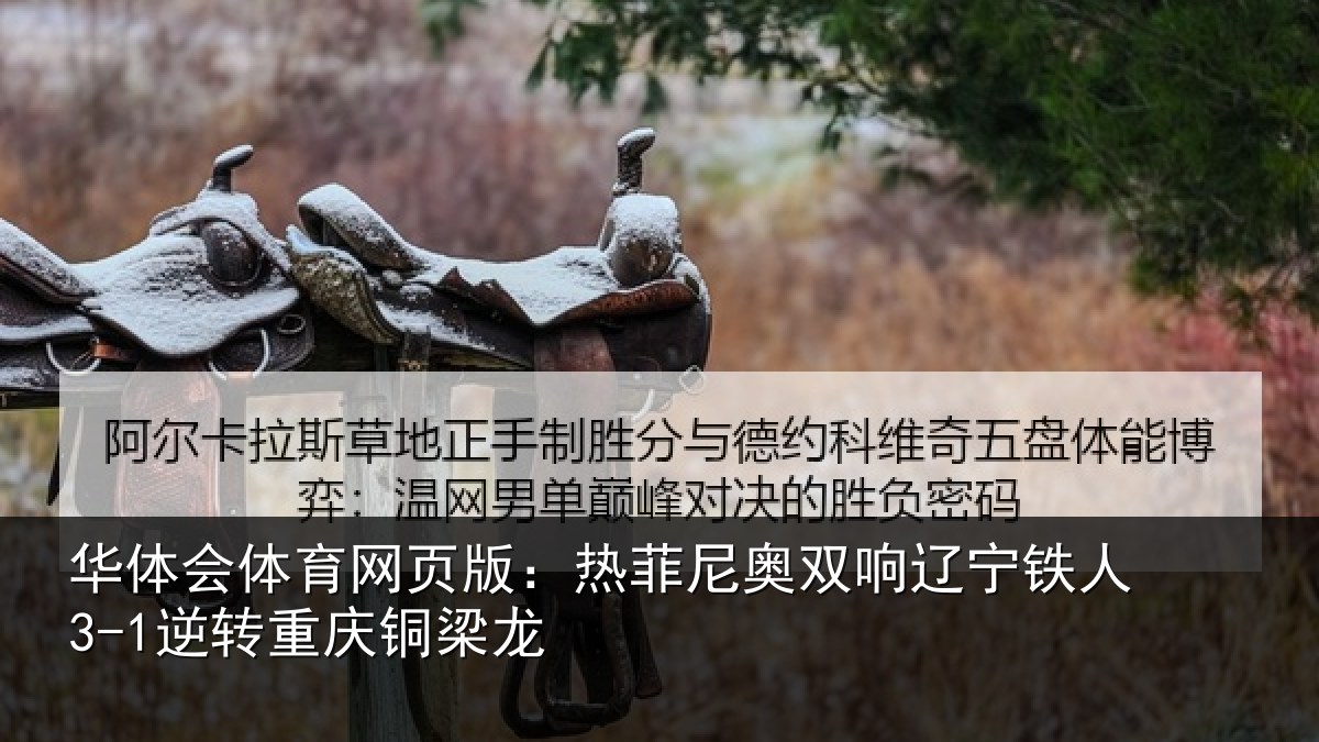 华体会体育网页版:热菲尼奥双响辽宁相关情况龙