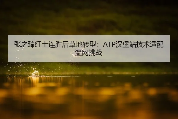 张之臻红土连胜后草地转型：ATP汉堡站技术适配温网挑战