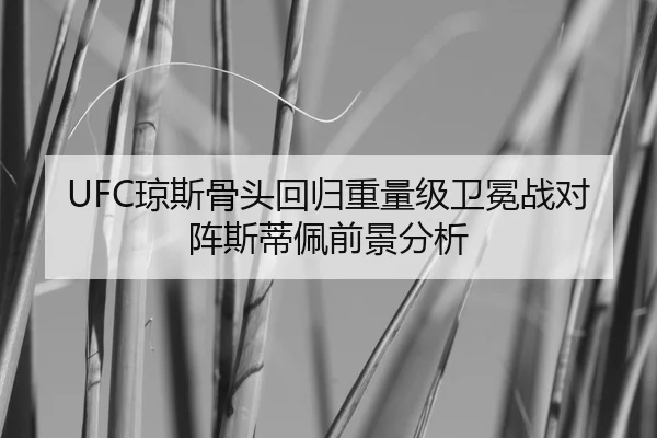 UFC琼斯骨头回归重量级卫冕战对阵斯蒂佩前景分析