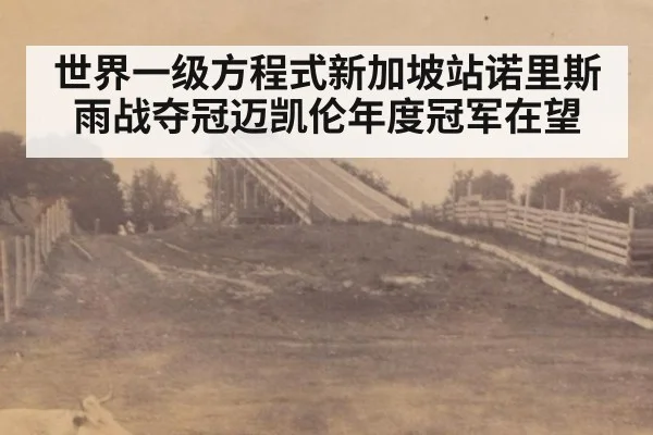世界一级方程式新加坡站诺里斯雨战夺冠迈凯伦年度冠军在望