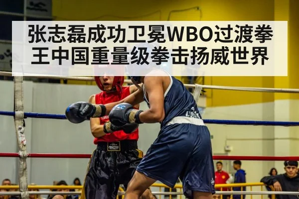 张志磊成功卫冕WBO过渡拳王中国重量级拳击扬威世界